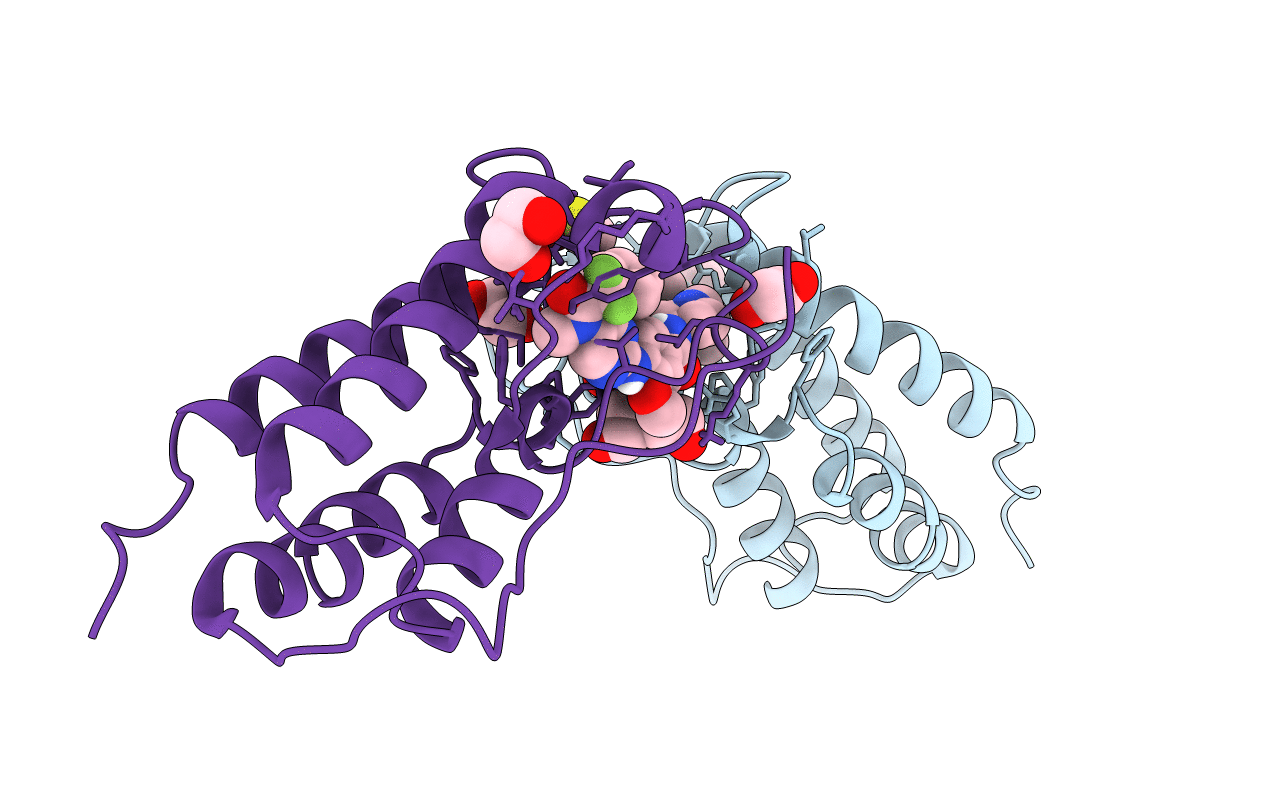 5VBP image