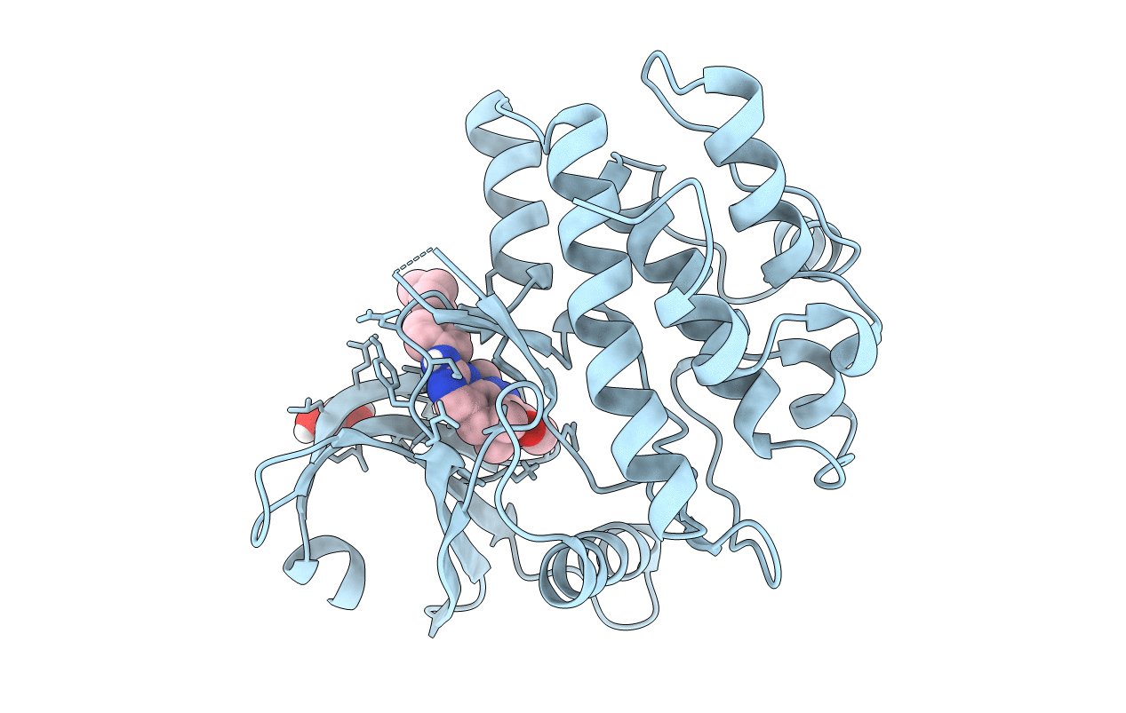 5VC6 image