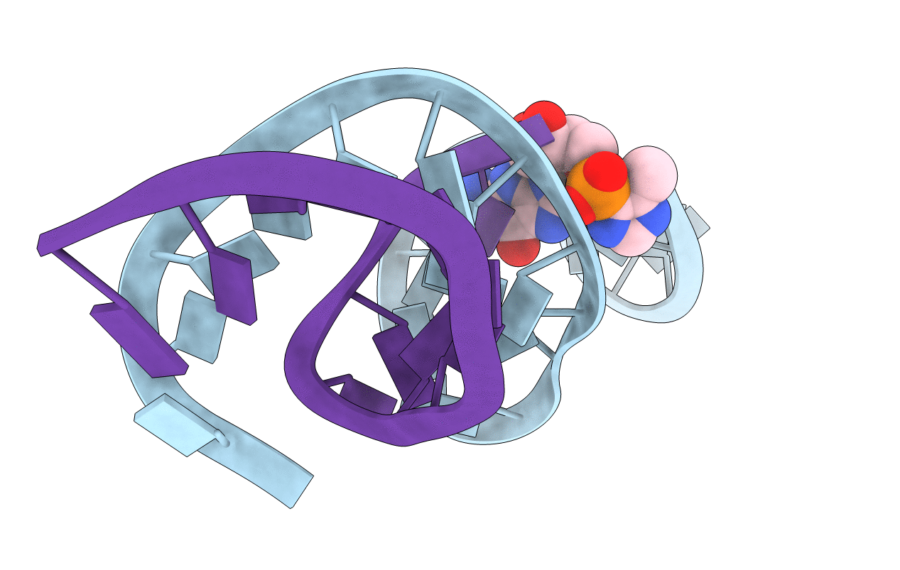 5VCI image