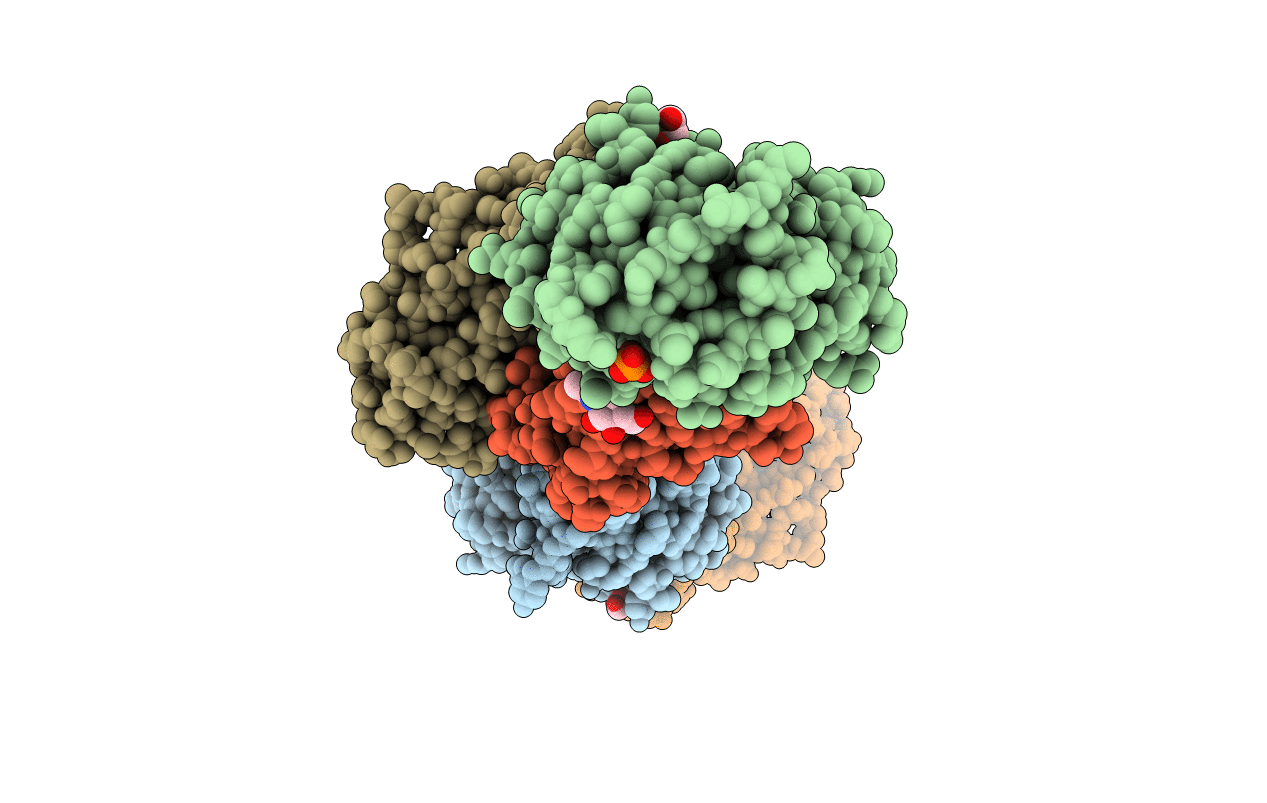 5VCN image