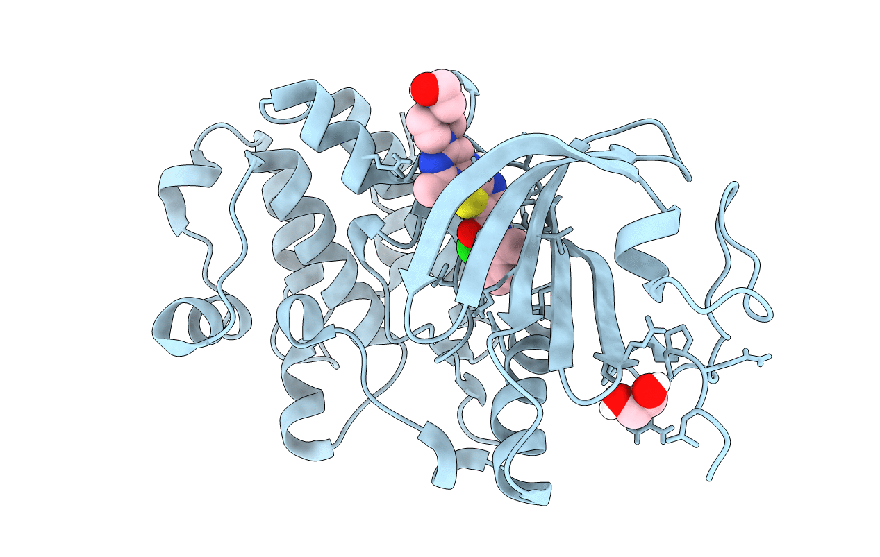 5VCV image