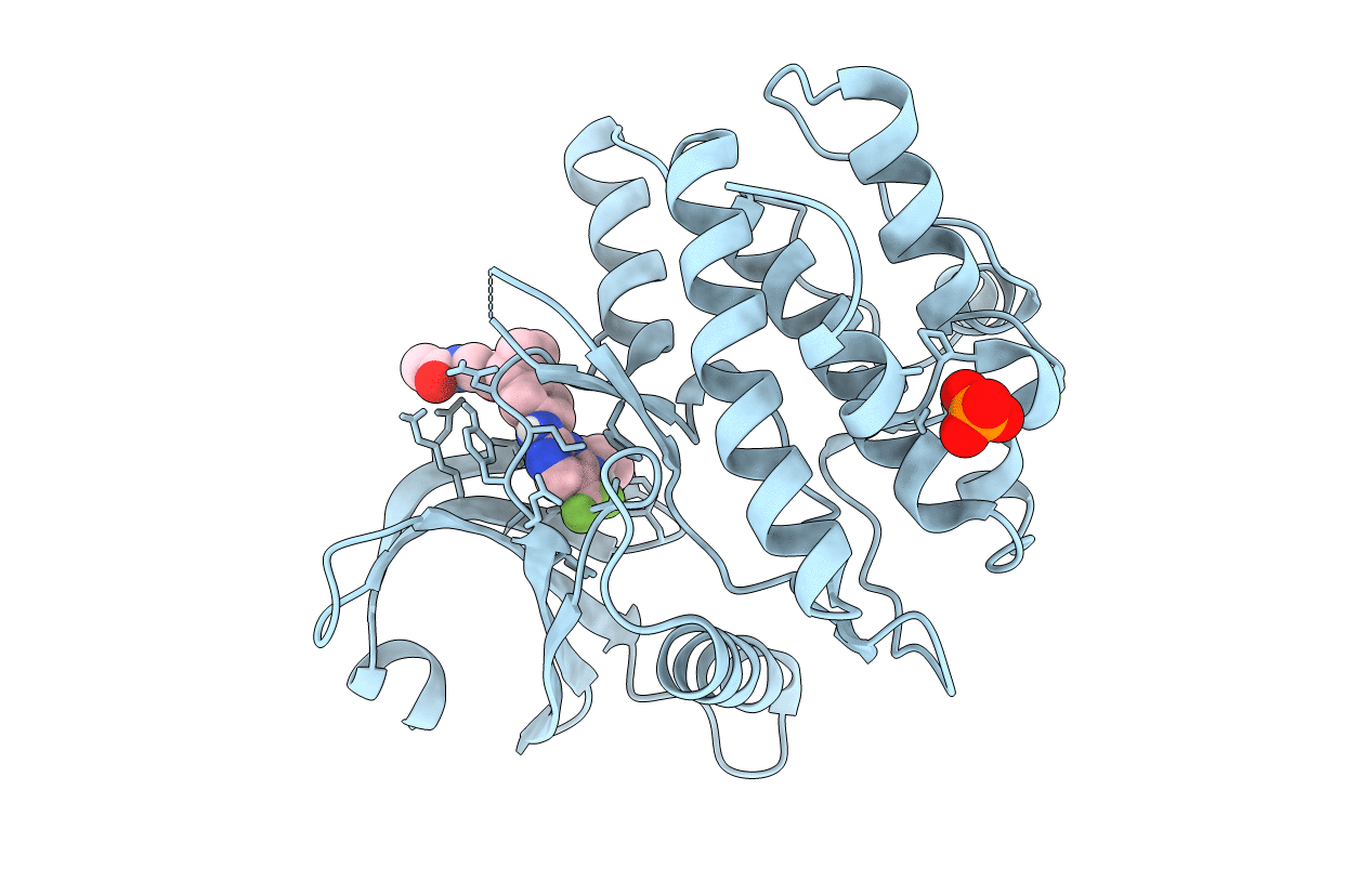 5VD2 image