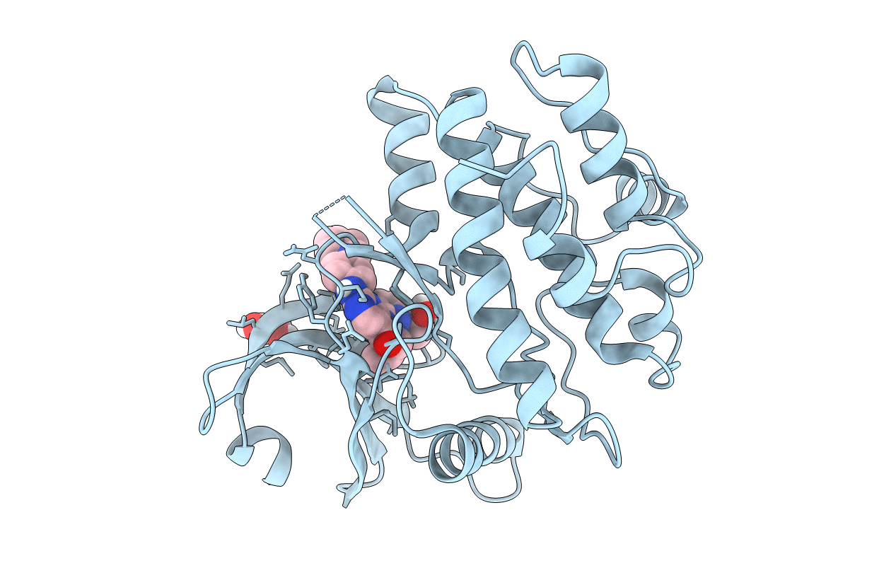 5VDA image