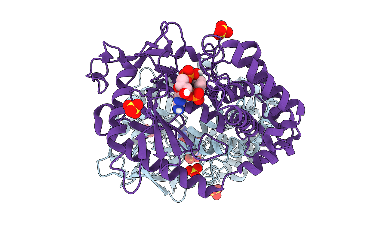 5VDP image