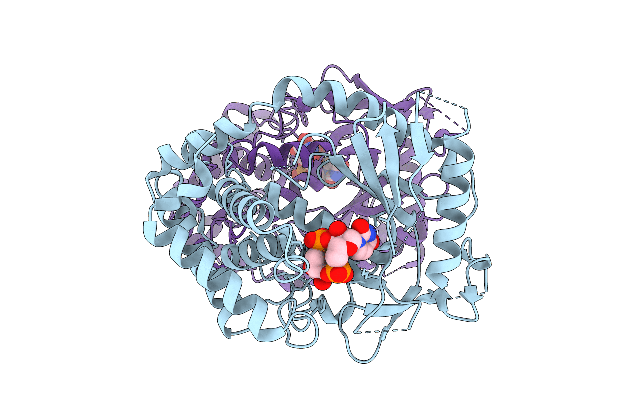5VDS image
