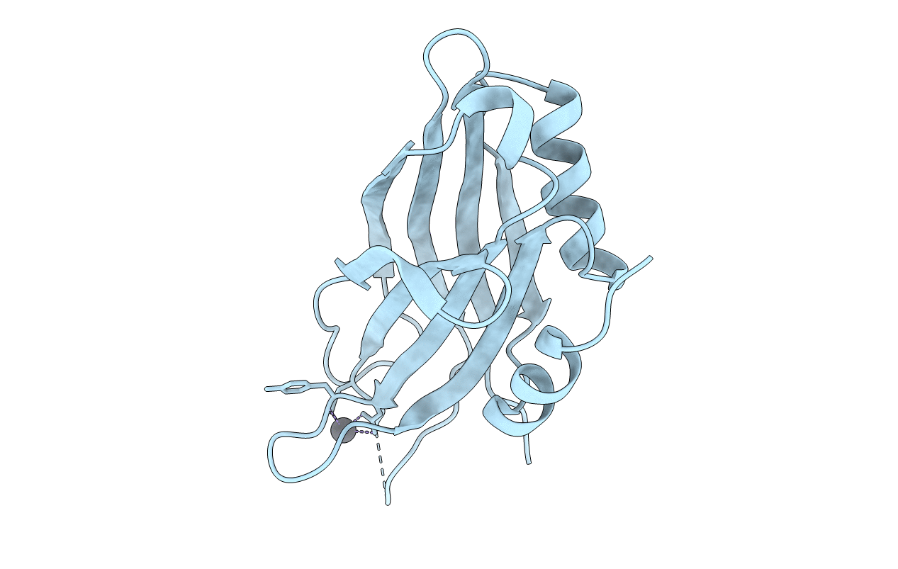 5VFF image