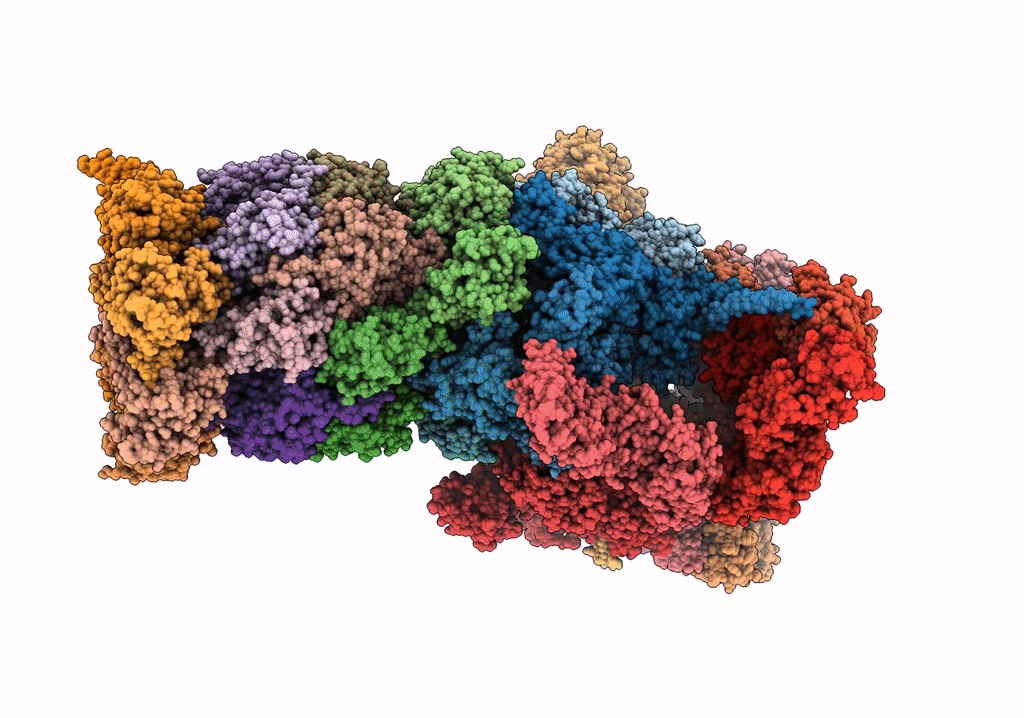 5VFQ image