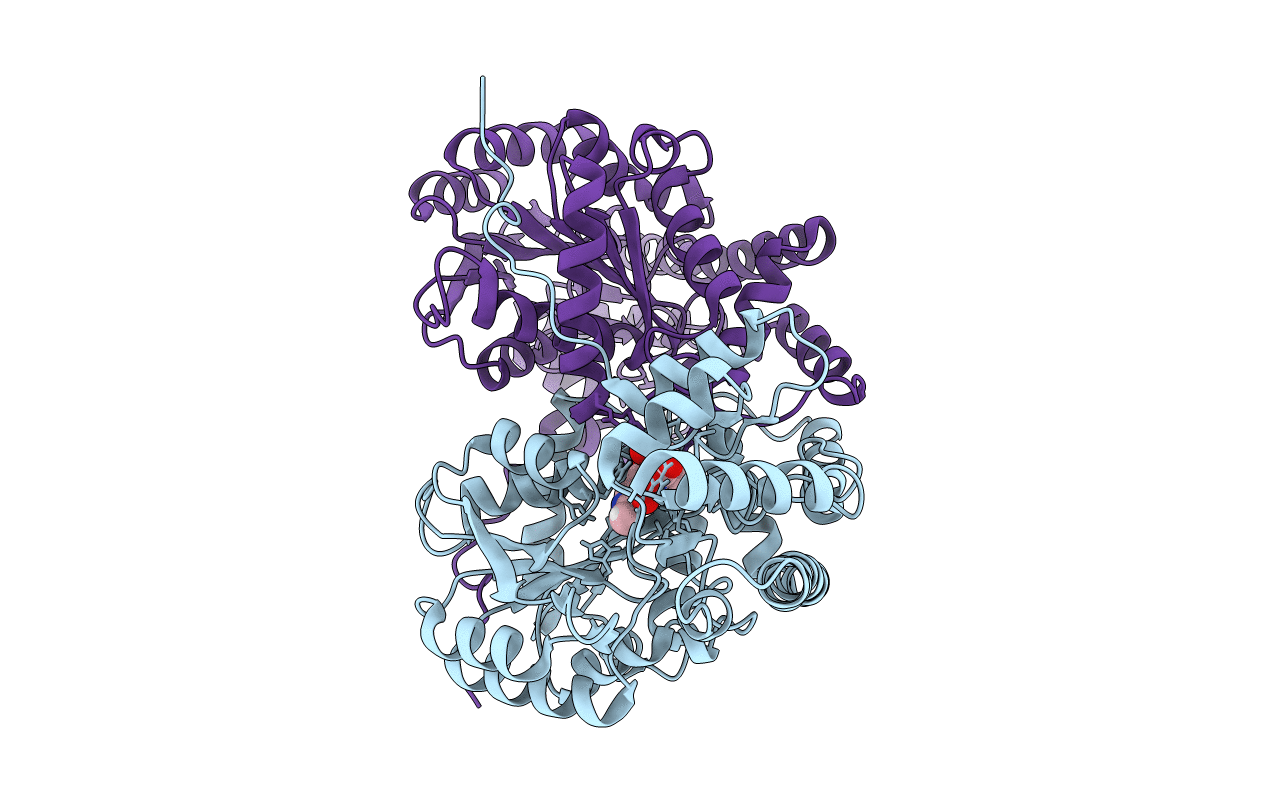 5VJZ image