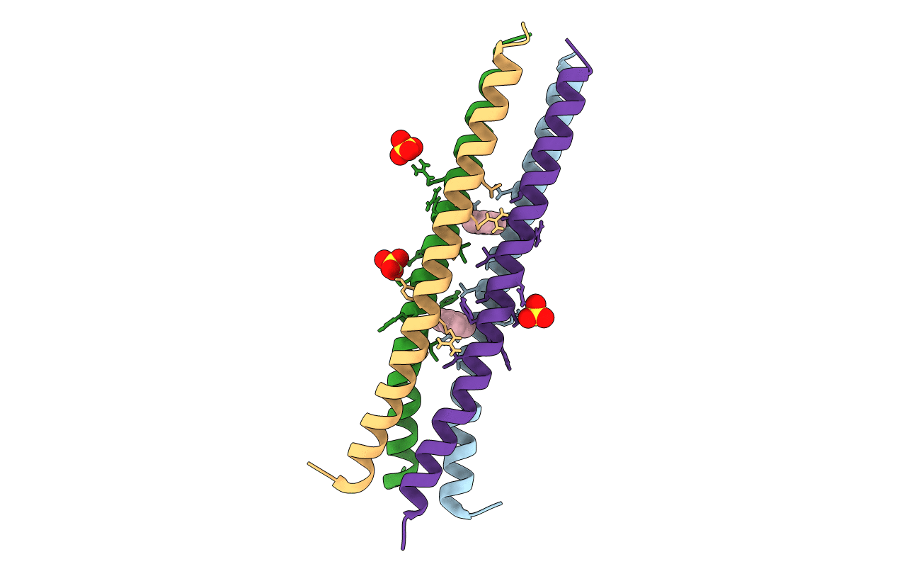 5VKF image