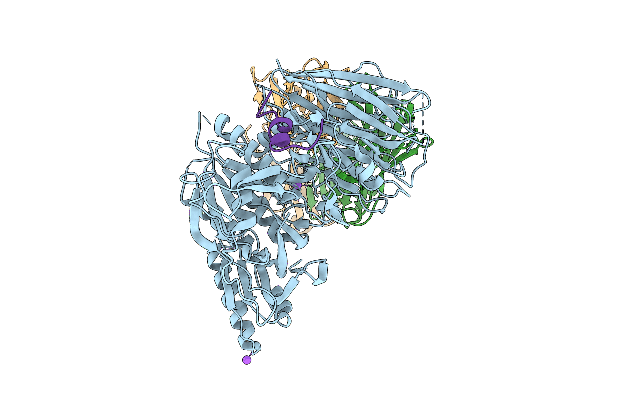 5VLP image