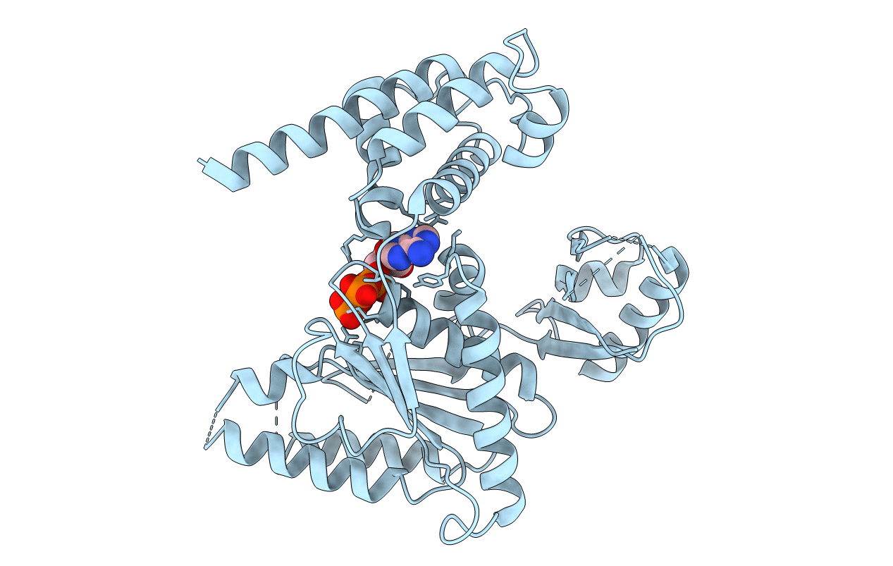 5VQA image