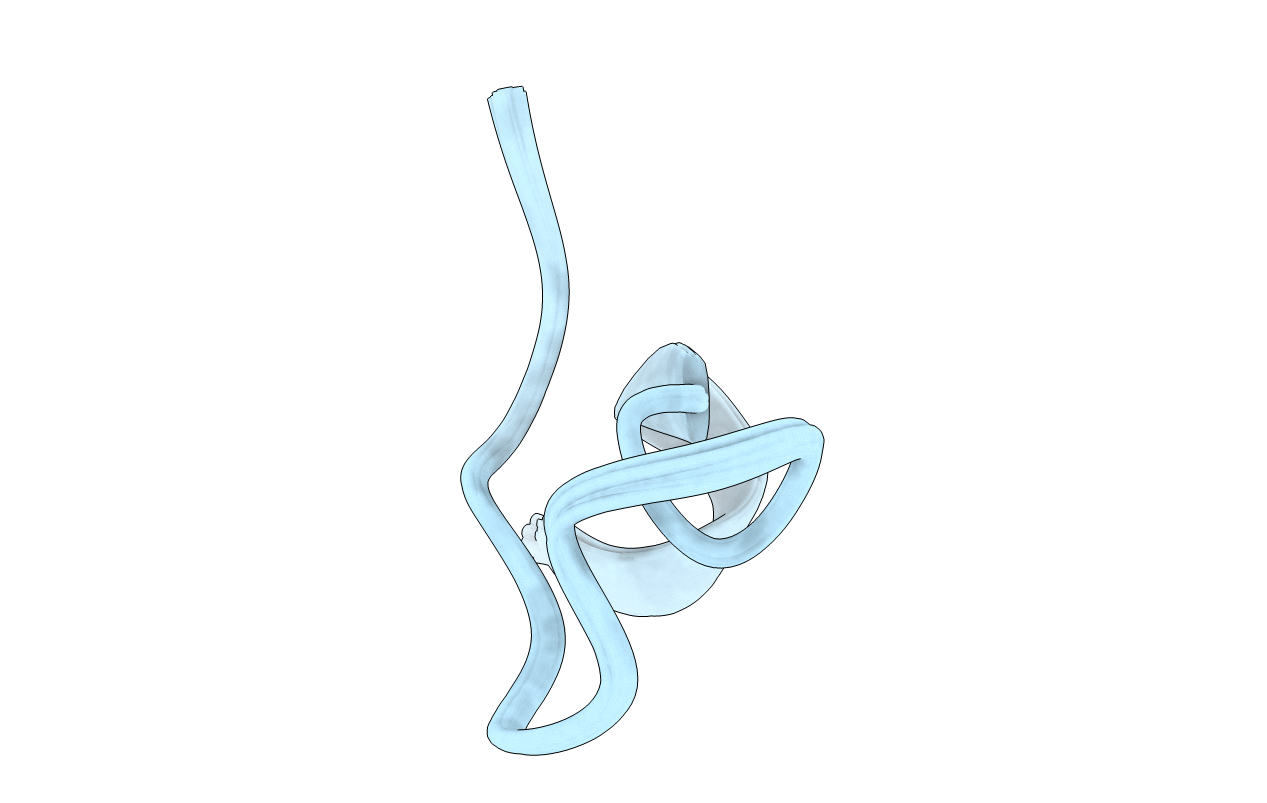 5VR1 image