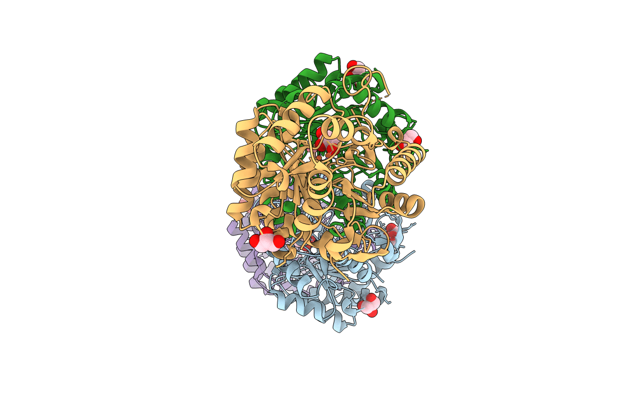 5VSA image