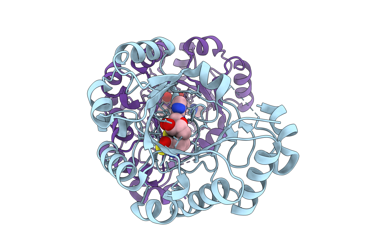 5VSL image