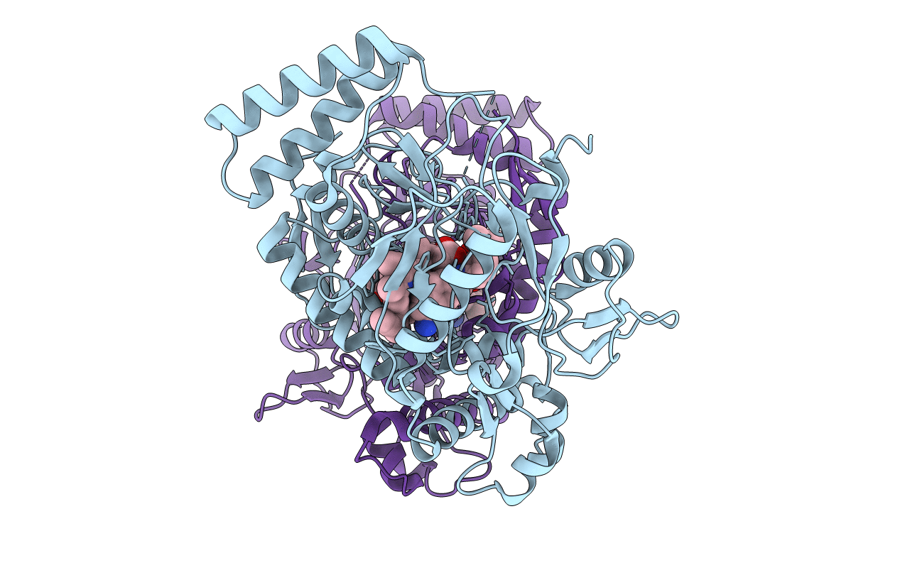 5VUW image