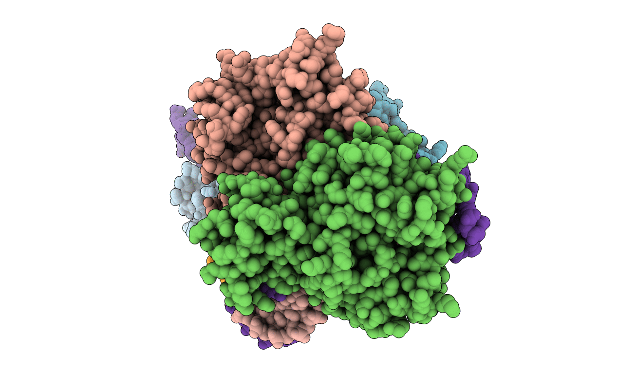 5VVJ image