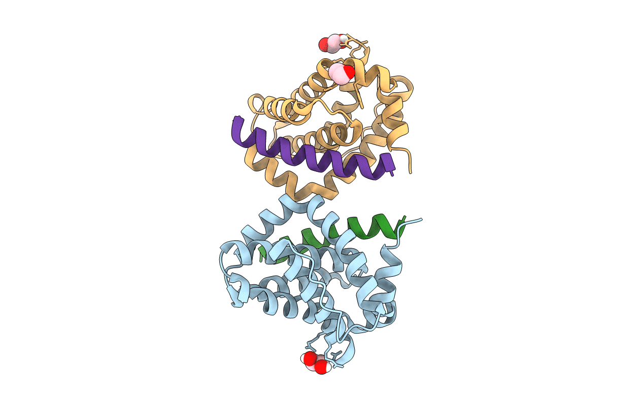 5VX2 image