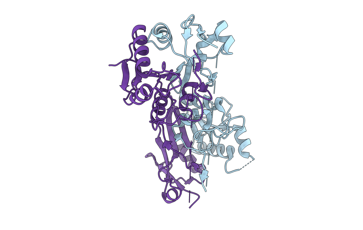 5VYM image