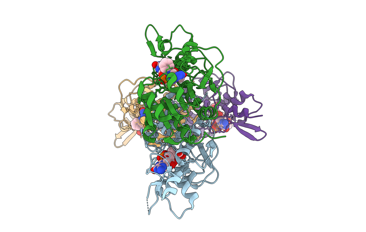5VYT image