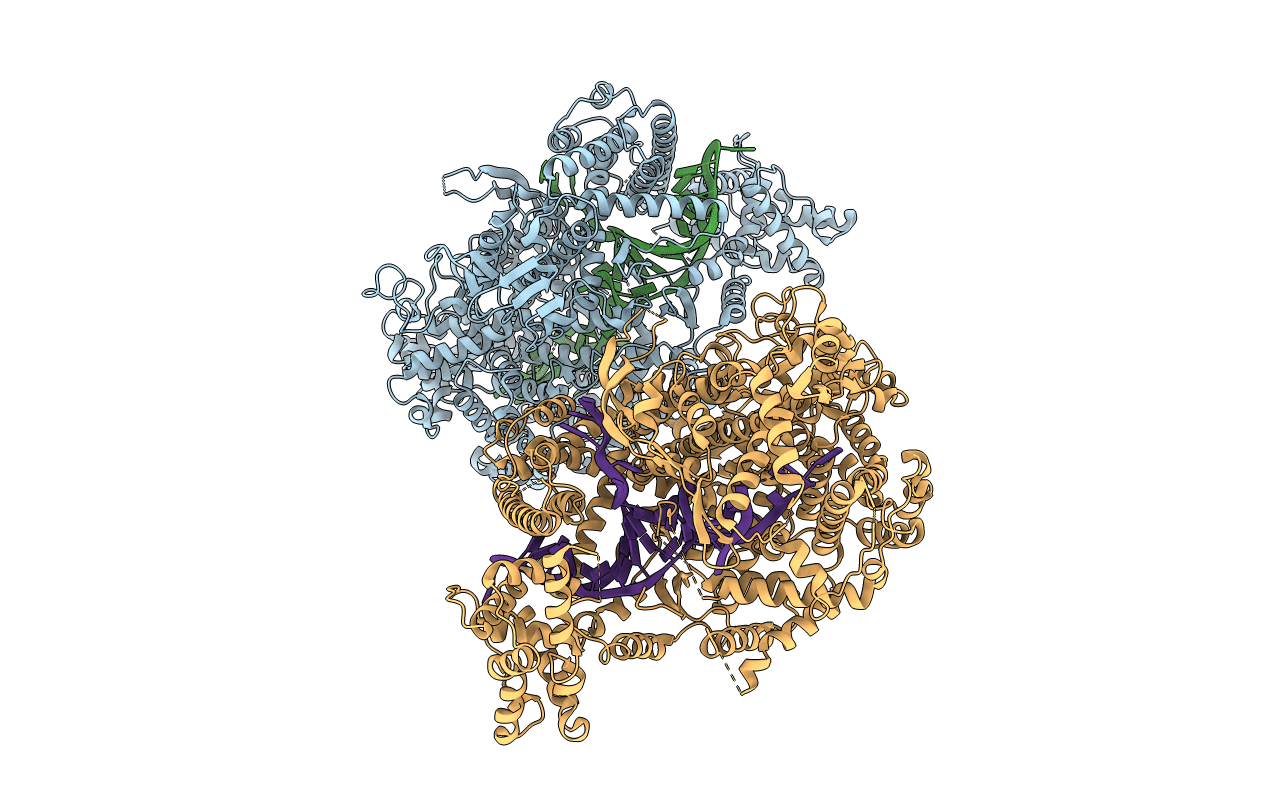 5W1I image