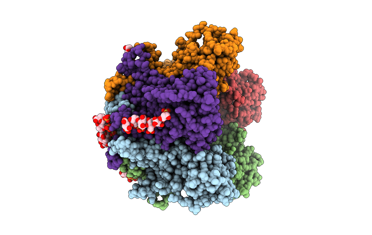 5W1O image