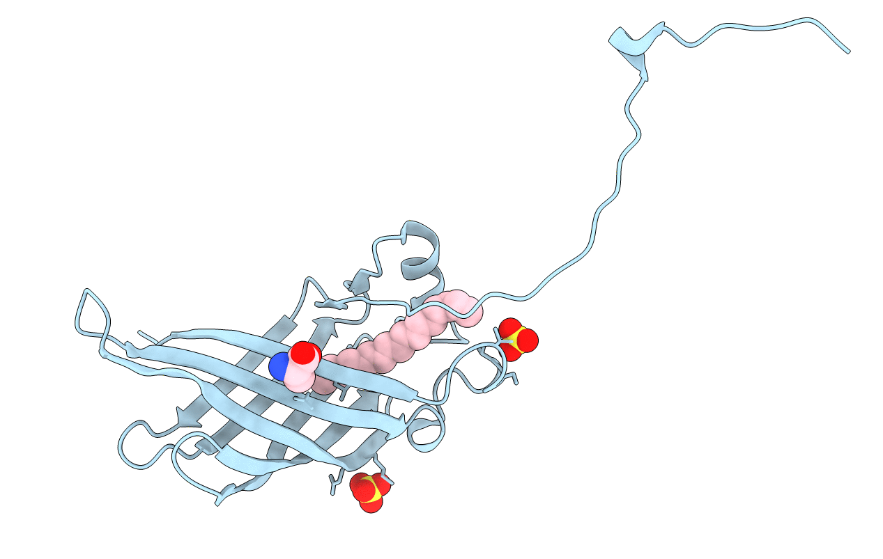 5W3C image
