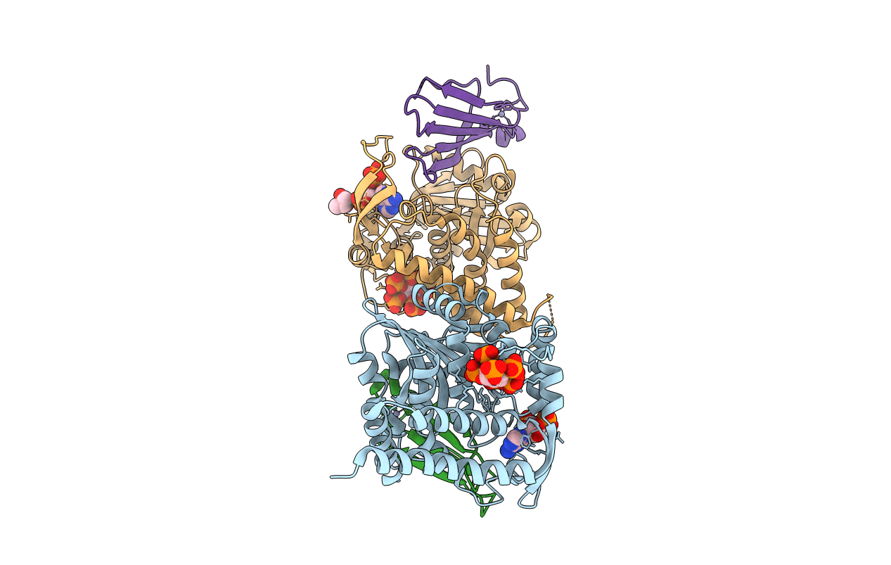 5W3X image