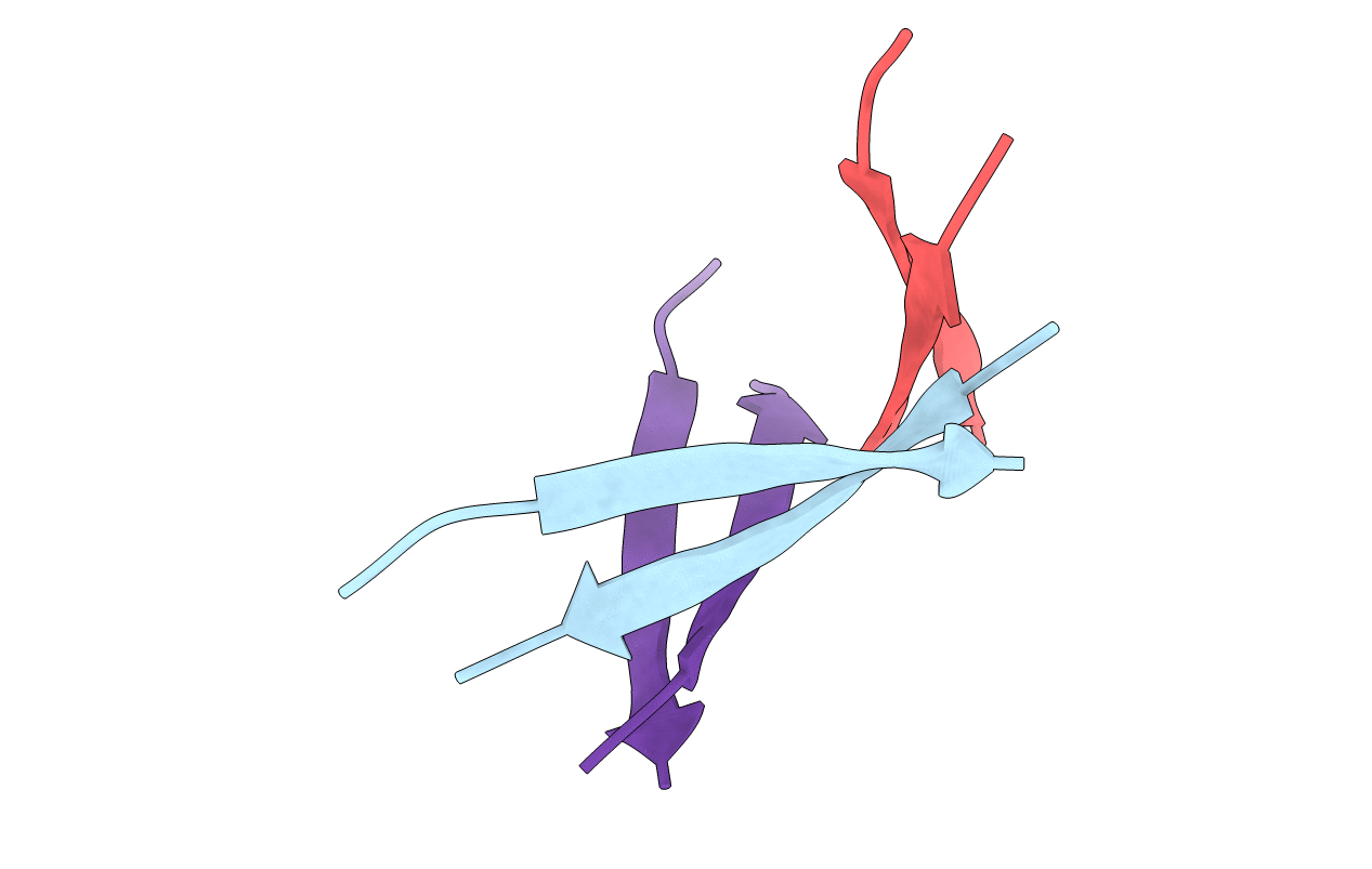 5W4I image