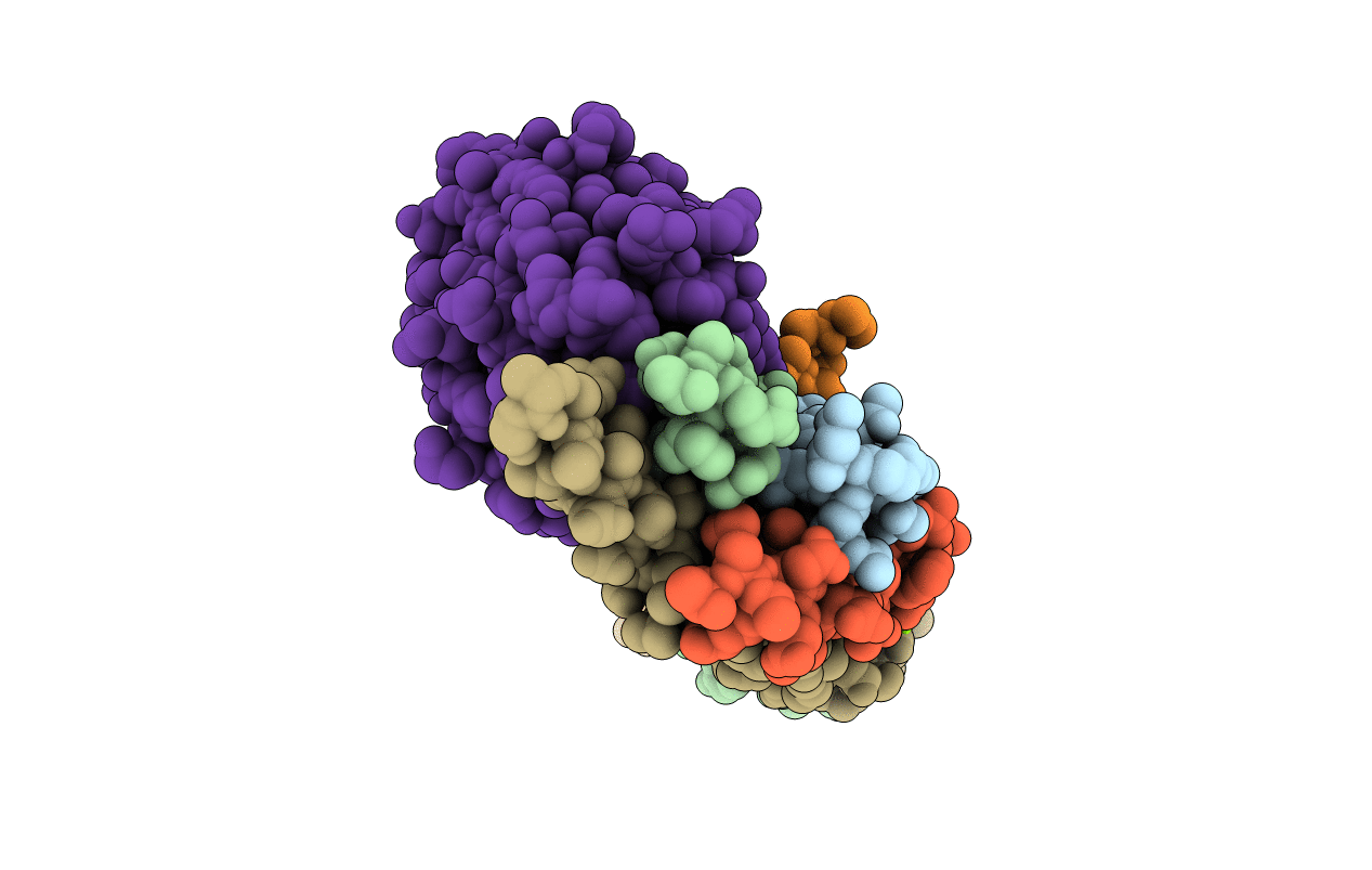 5W5D image