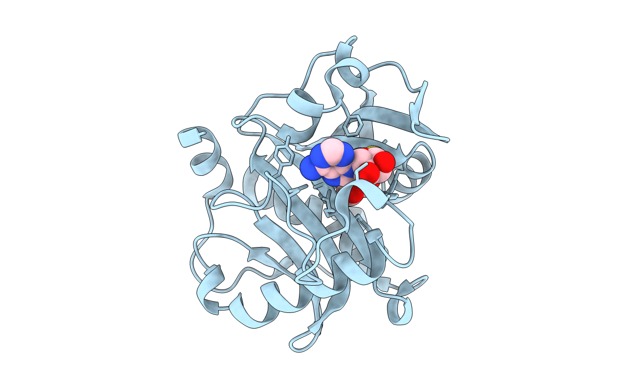 5W8D image