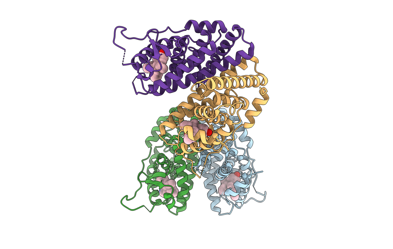 5W9C image