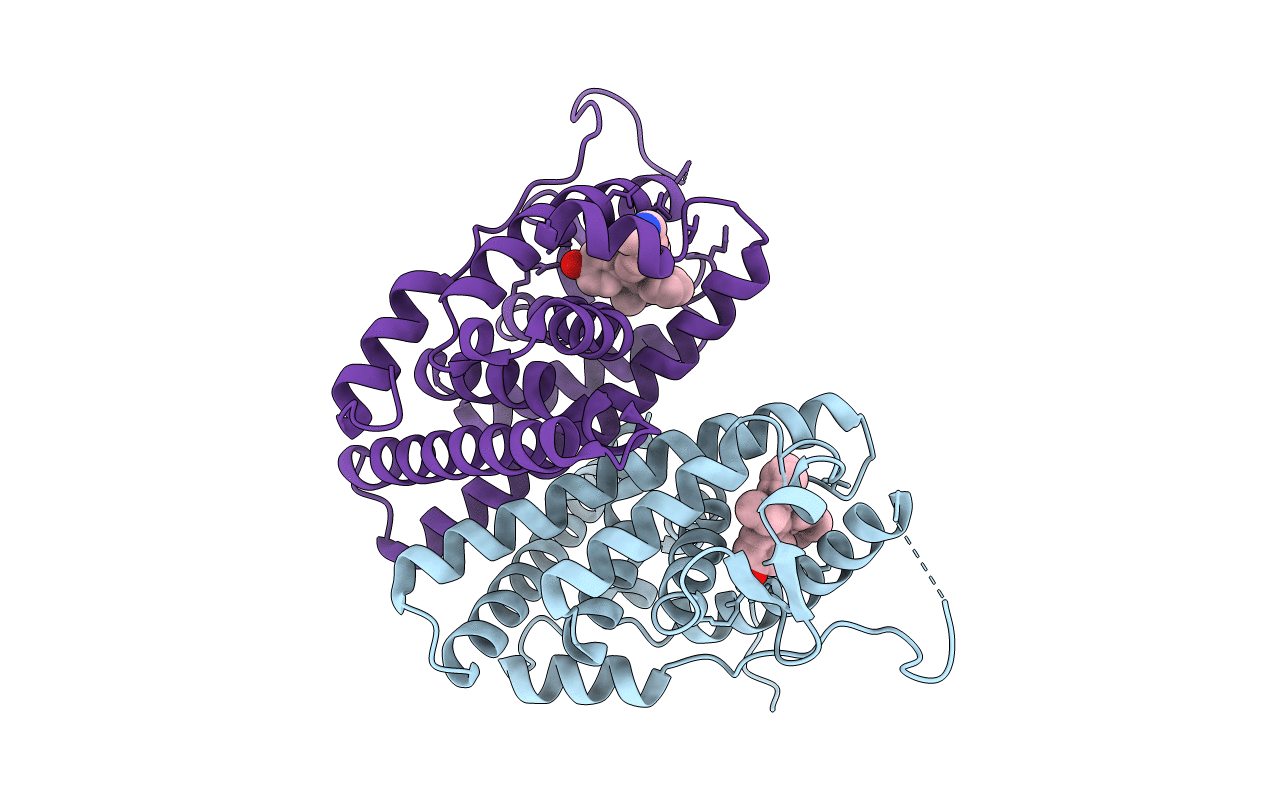 5W9D image