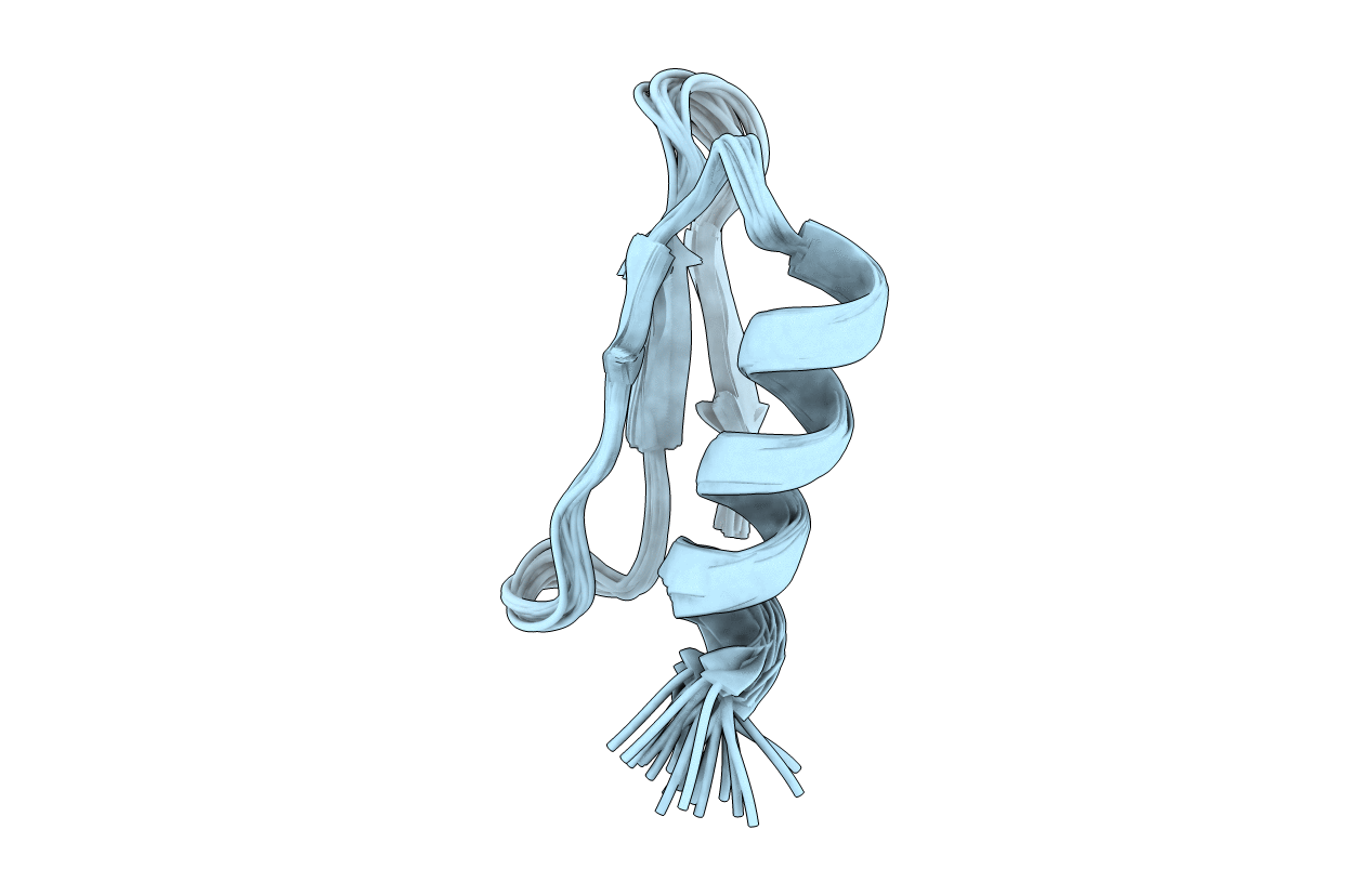 5W9F image