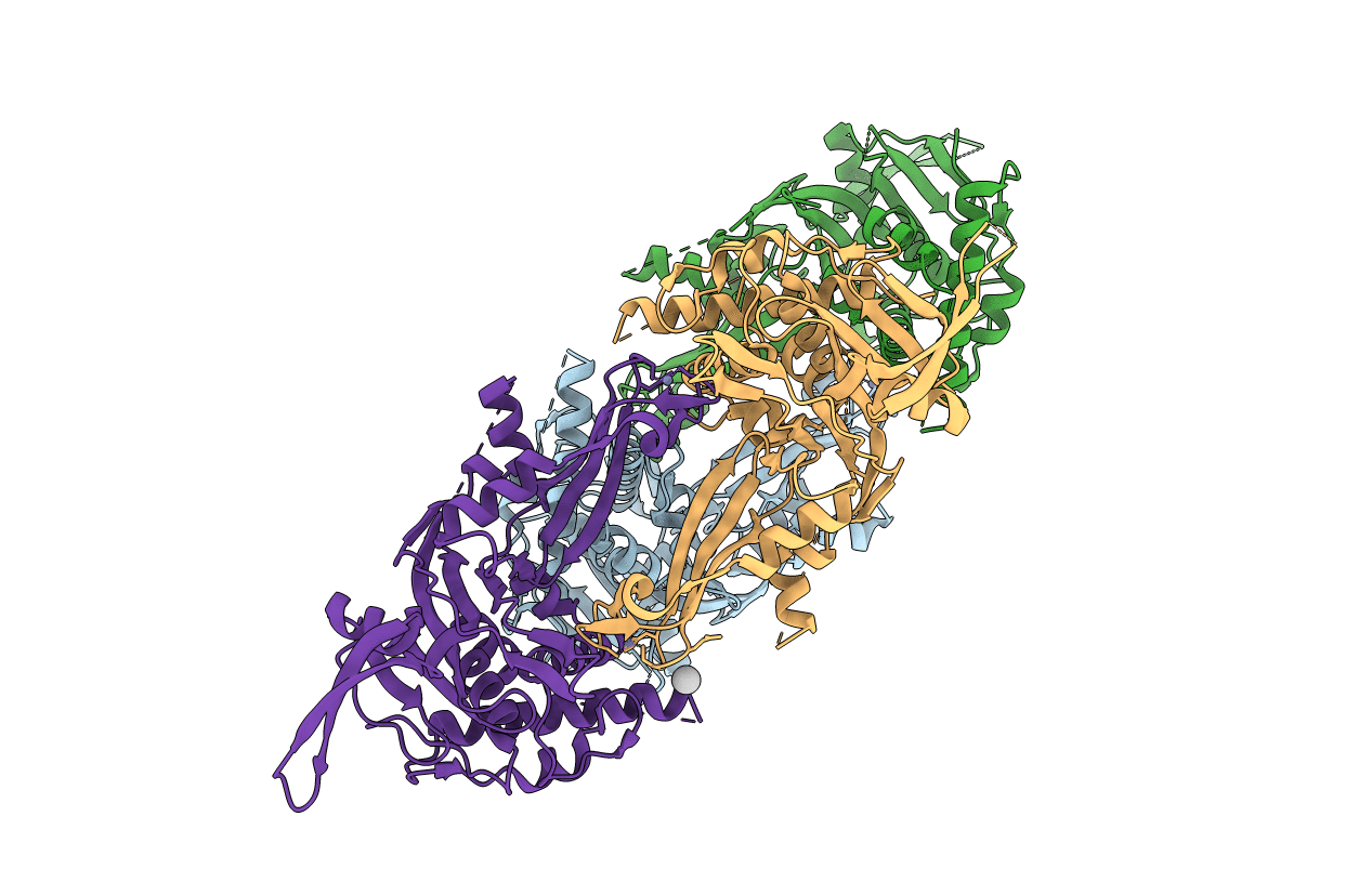 5WCH image