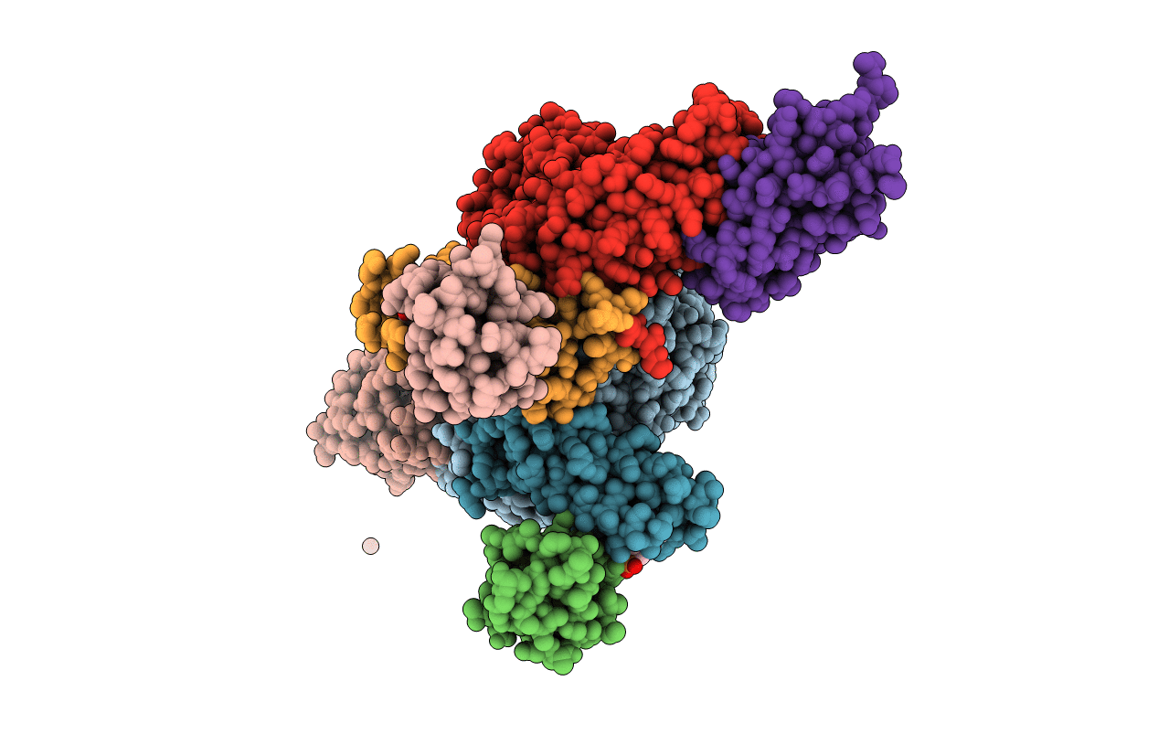 5WKP image