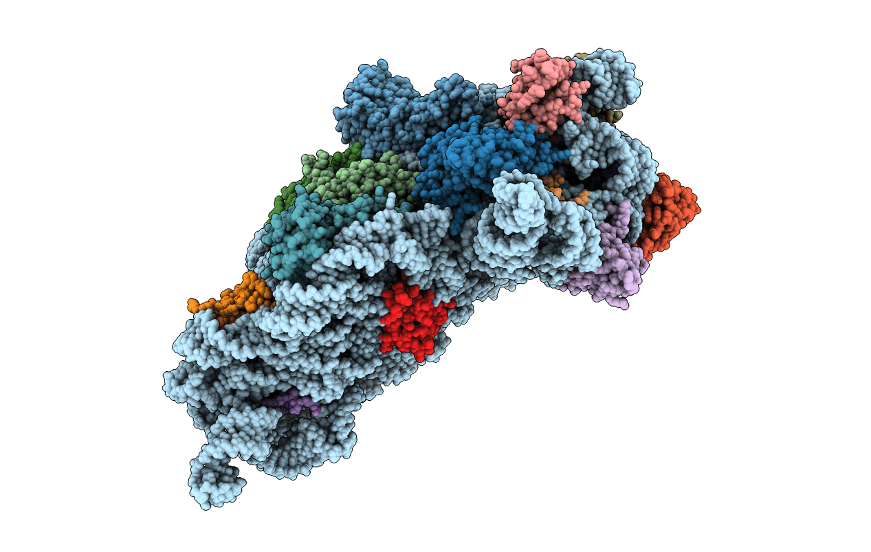 5WNR image