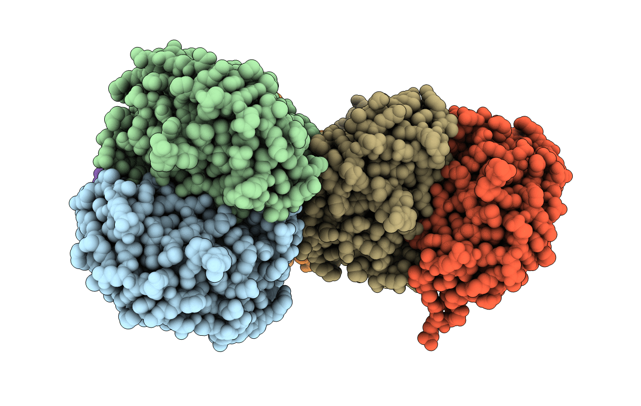 5WRN image