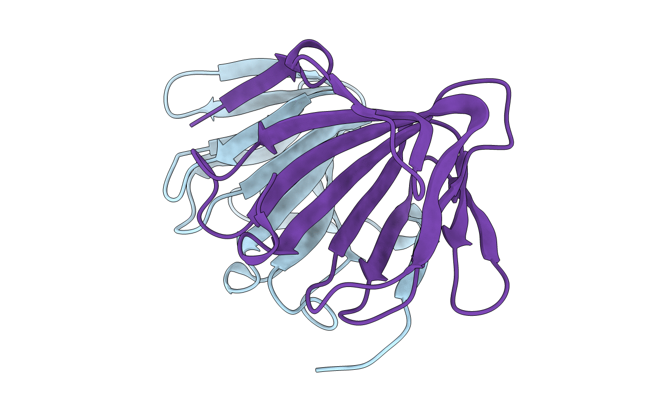 5WSD image