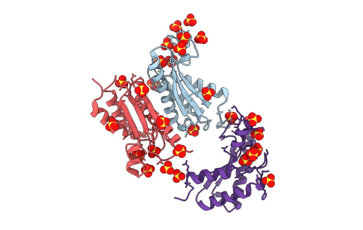 5WTP image