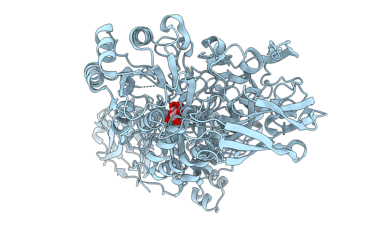5WVP image