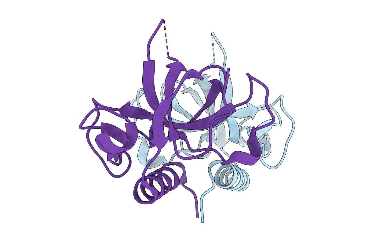 5WYG image