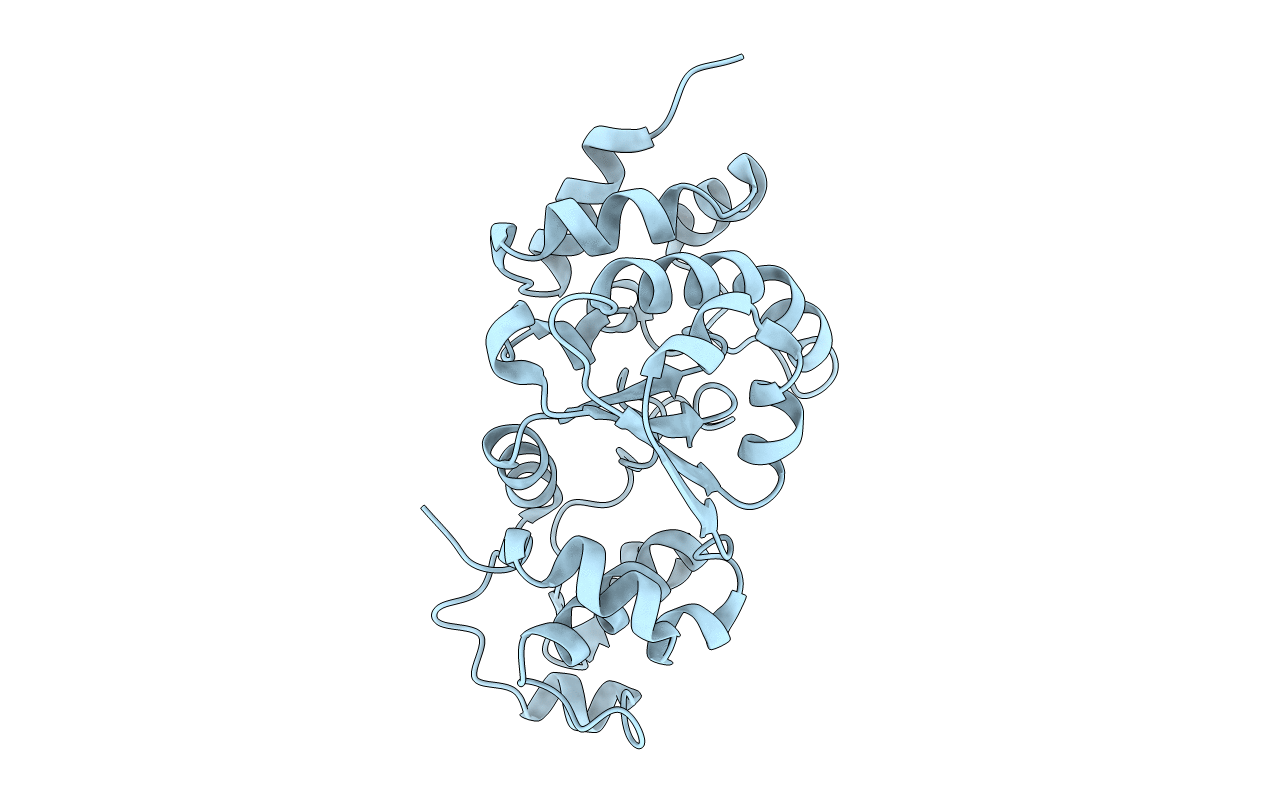5X3G image