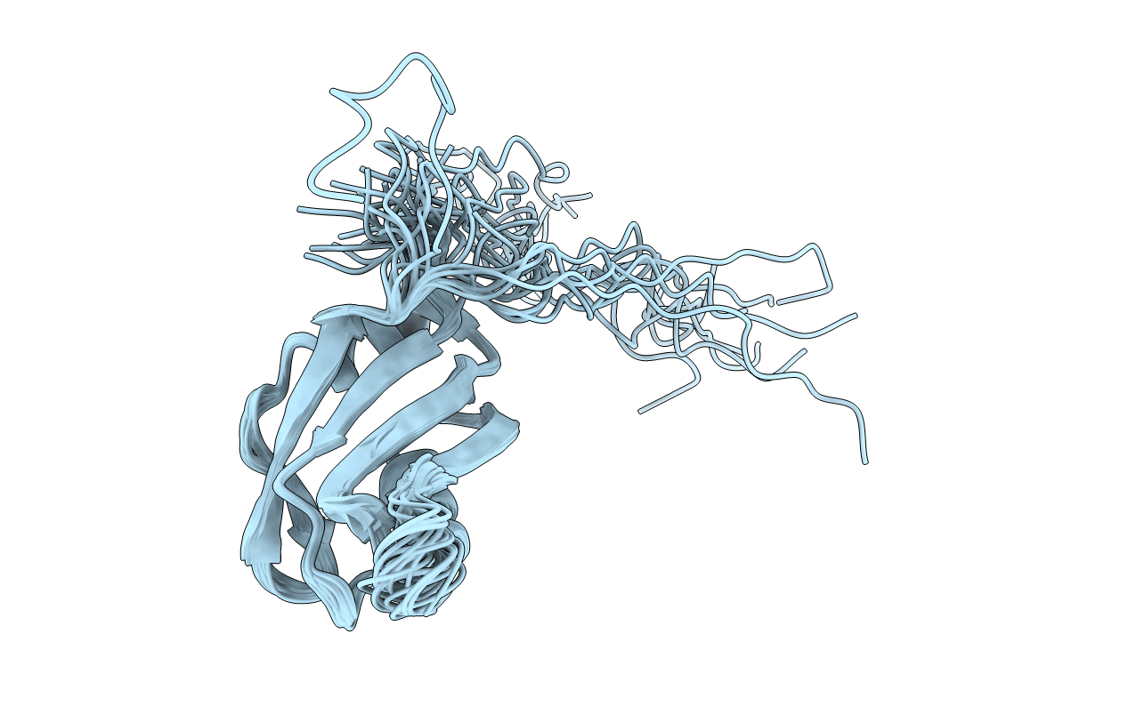 5X3Y image