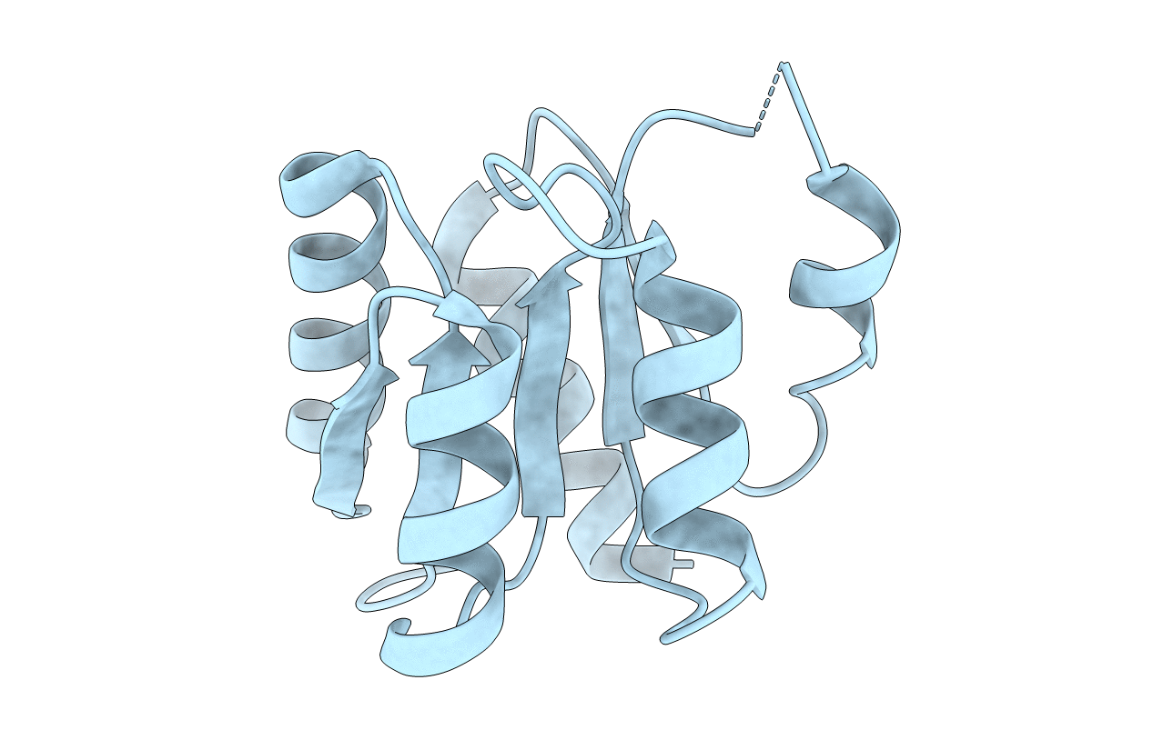 5X5J image