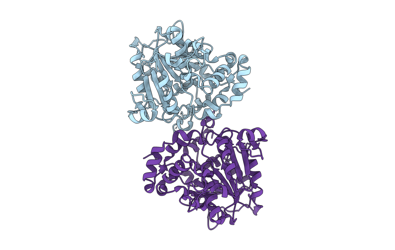 5XAV image