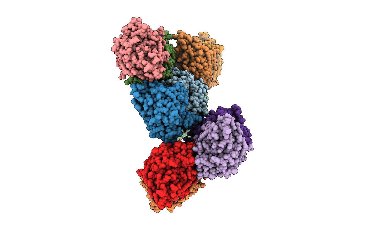5XB6 image