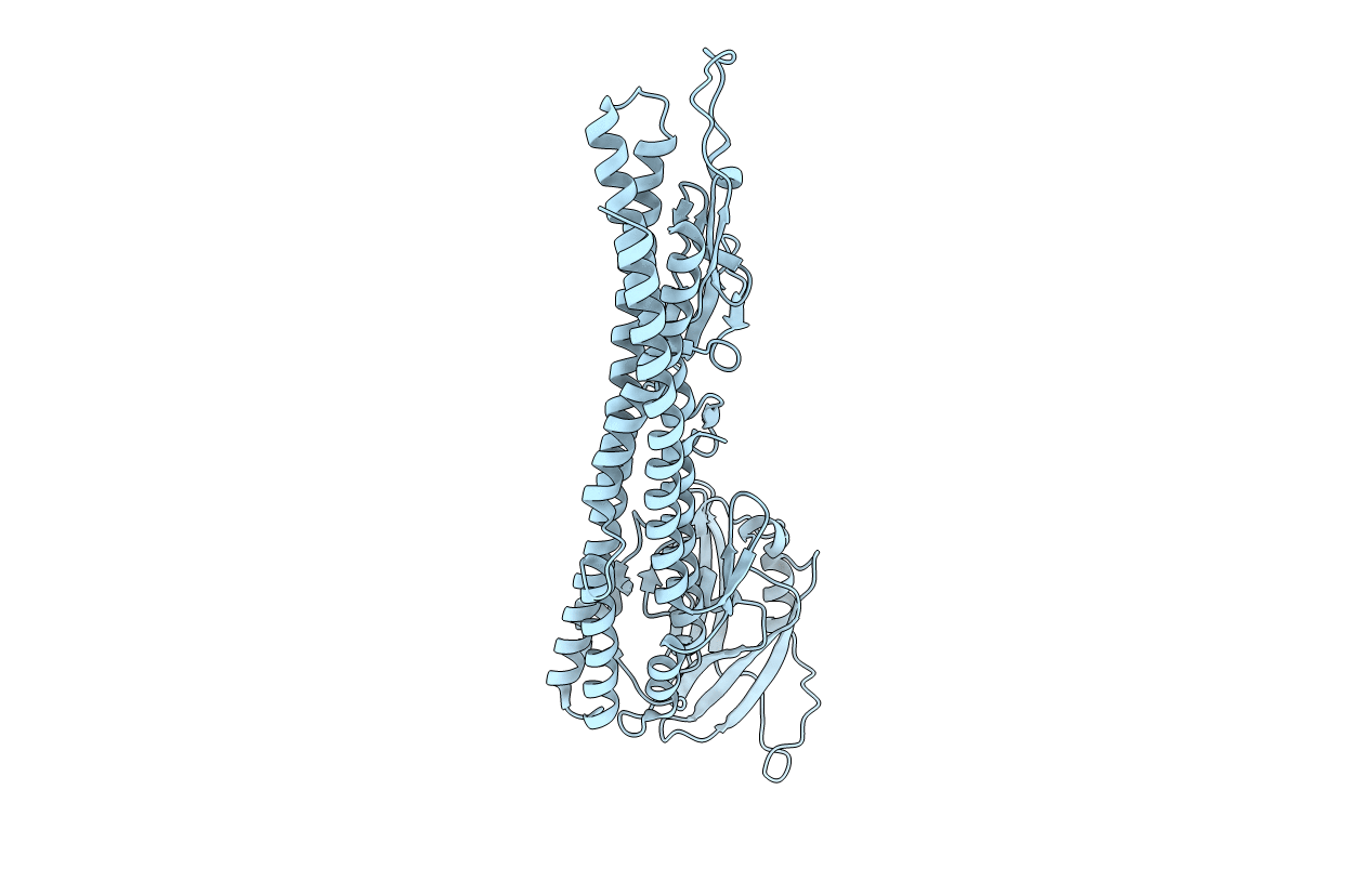 5XBJ image