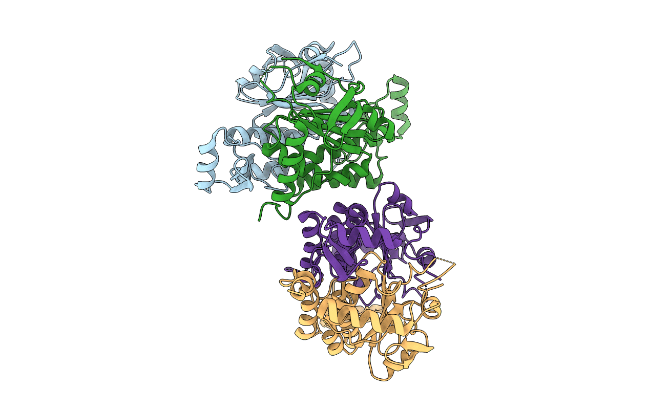 5XBS image
