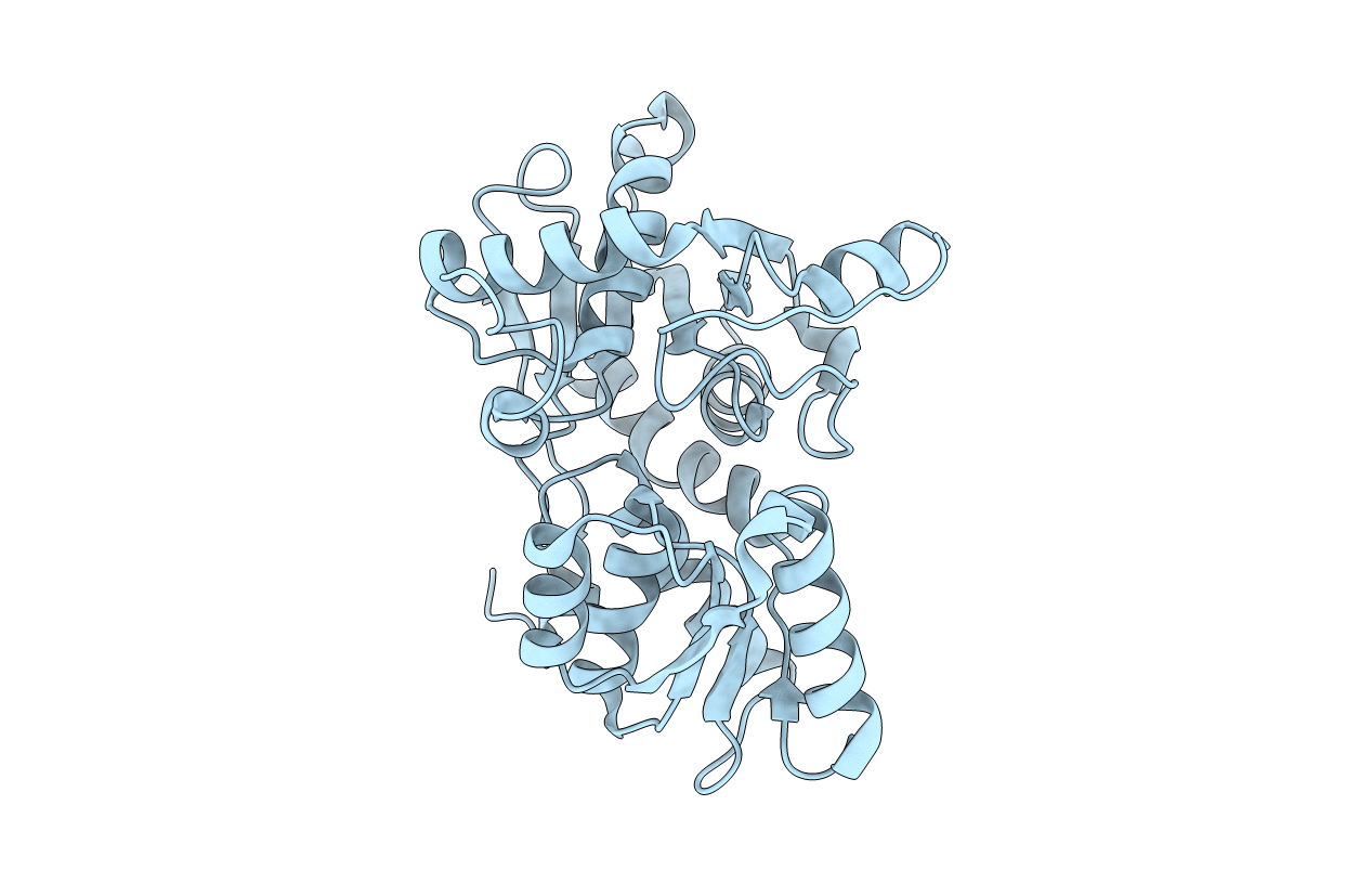 5XCN image