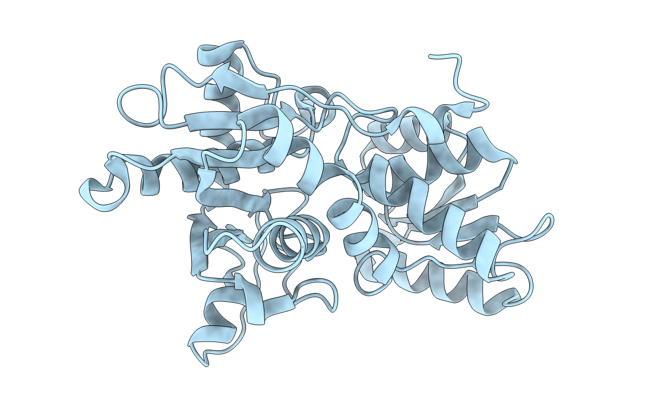 5XCW image